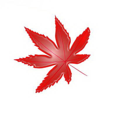 1573185368940583.jpg 937335.jpg