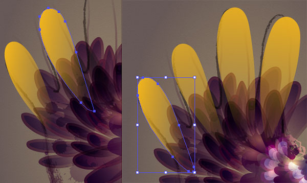 1573267172800217.jpg 505217.jpg