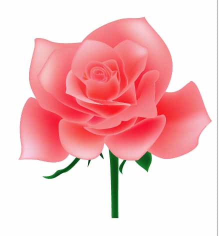 1573785774870730.jpg 101155.jpg