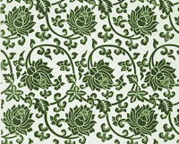 1573786806295851.jpg 053911.jpg