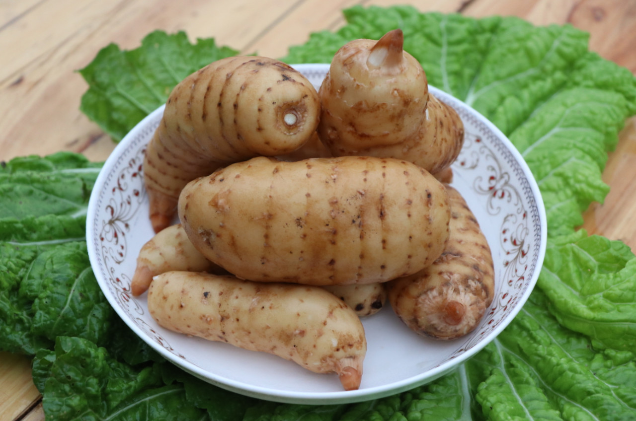 1573870380879430.jpeg 彝良天麻5.jpeg