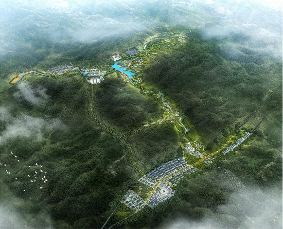 1573870390189146.jpeg 彝良天麻6.jpeg