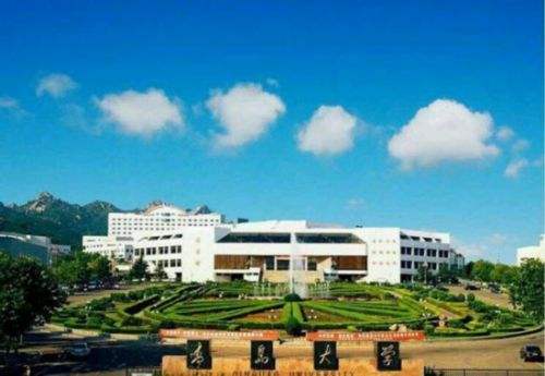 1573872407835345.jpg 青岛大学.jpg