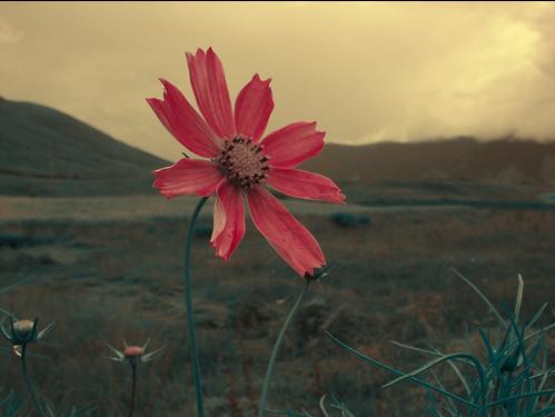 1574045737303463.jpg 139033.jpg