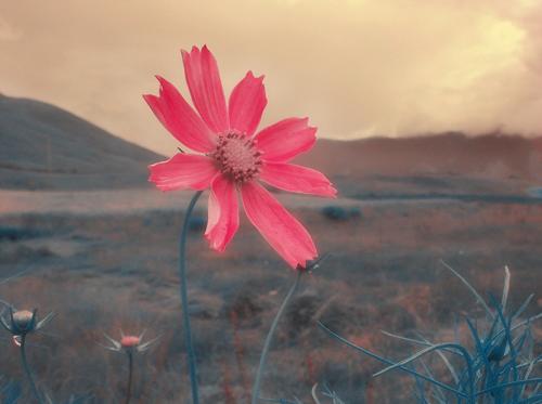 1574045756373407.jpg 139035.jpg