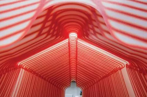 1574392003705947.jpeg 5.jpeg