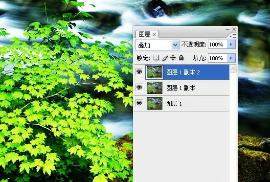 1574475091193548.jpg 127002.jpg