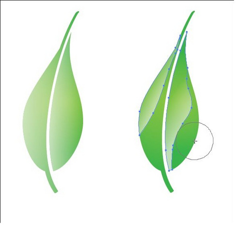 1575079029333237.jpg 059564.jpg