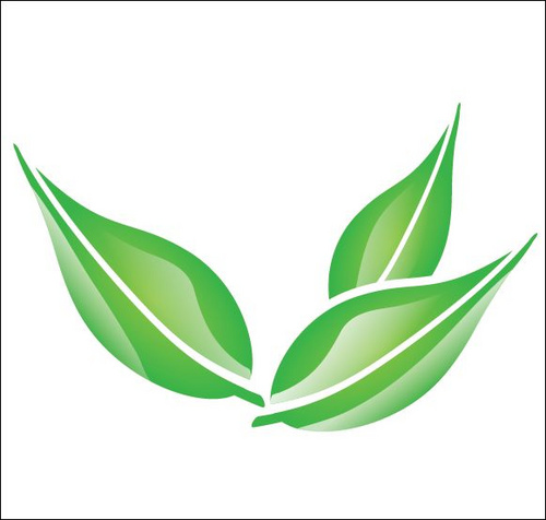 1575079042840699.jpg 059786.jpg