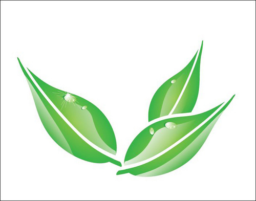 1575079077138100.jpg 059873.jpg