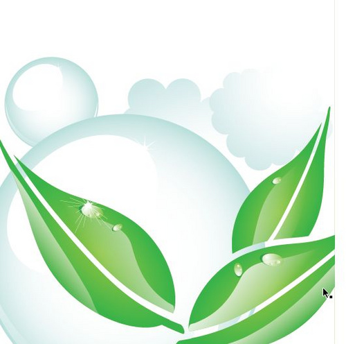 1575079153345786.jpg 410867.jpg