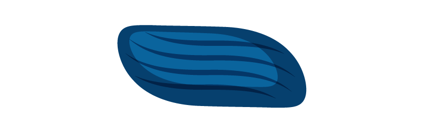 1575858963869145.png 7.png