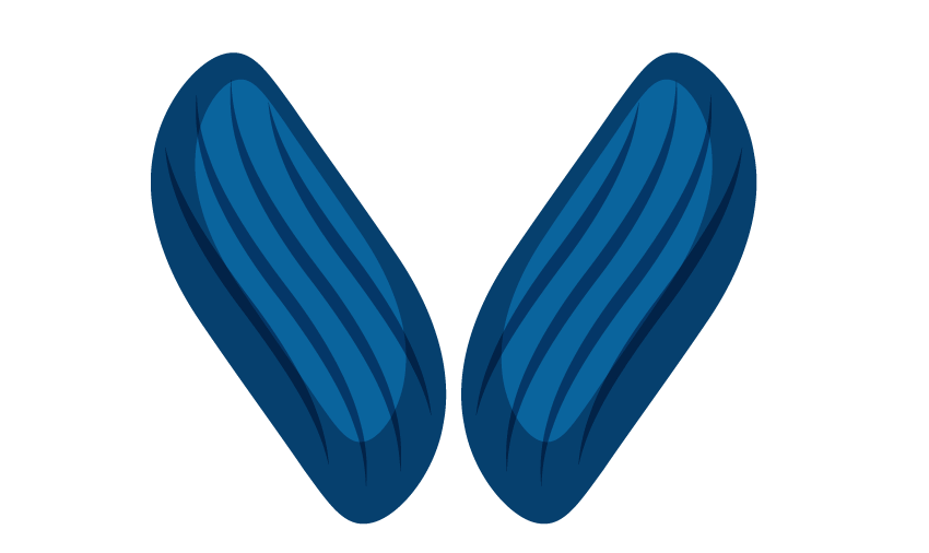 1575858970656601.png 8.png