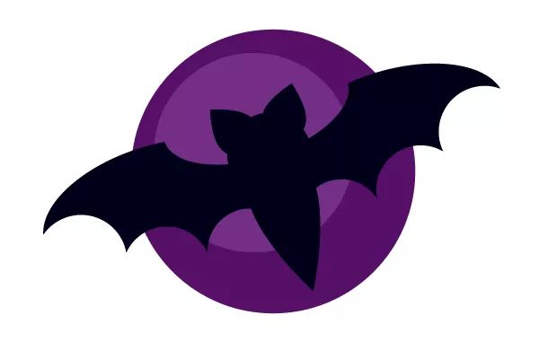 1576121636466365.jpeg 7.jpeg