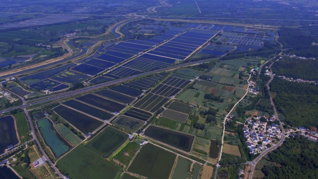 1576121815143801.jpeg pic_003.jpeg