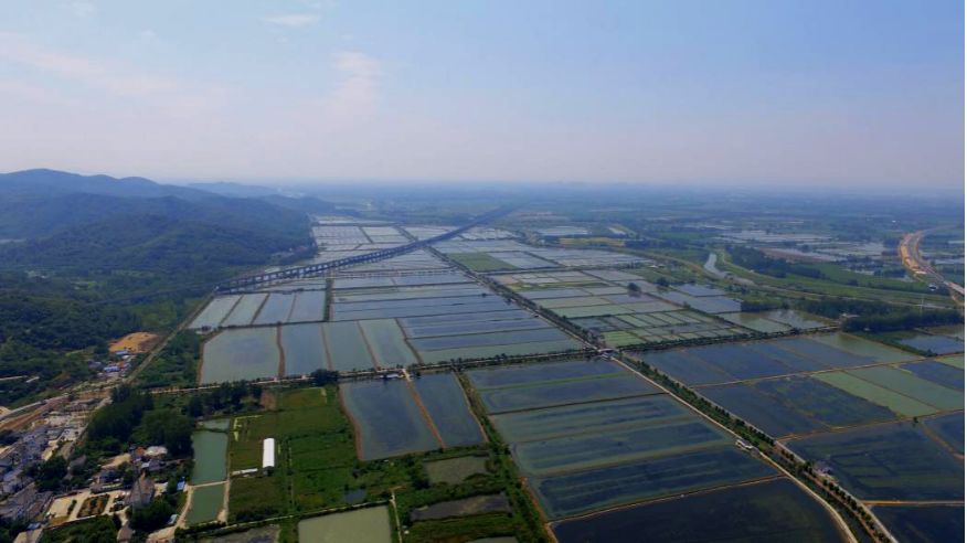 1576121825695155.jpeg pic_004.jpeg