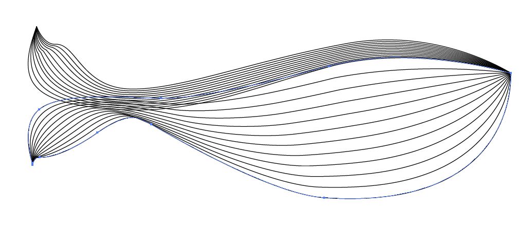 1576465355844449.png 17.png