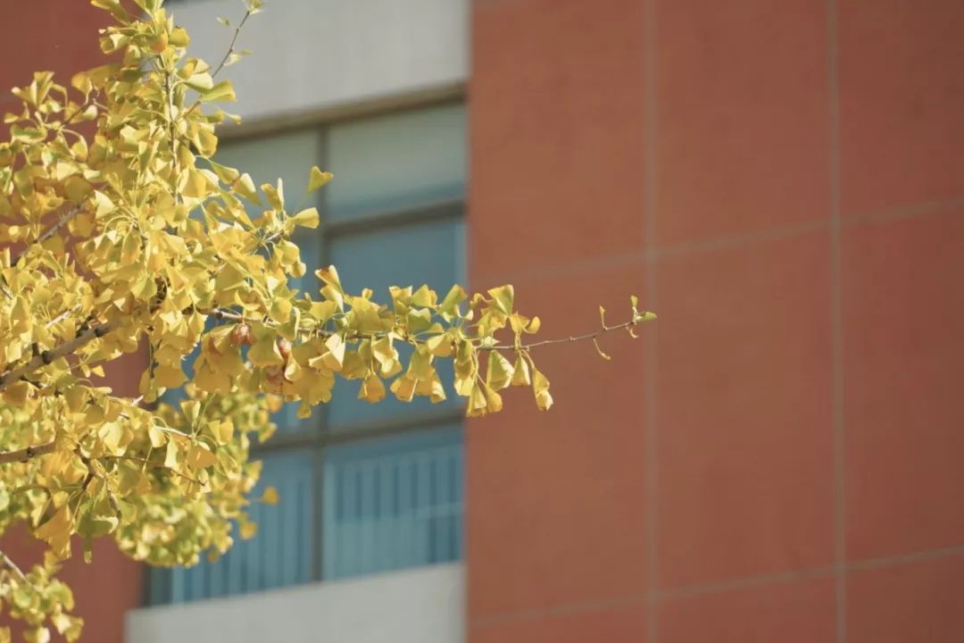 1576465933927270.jpeg 预祝各位考研er们考试顺利!.jpeg