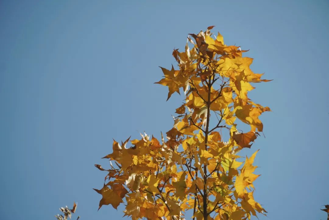 1576465941790994.jpeg 9.jpeg