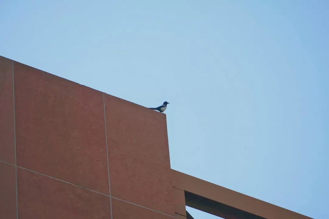 1576465955300596.jpeg 2准考证打印流程.jpeg