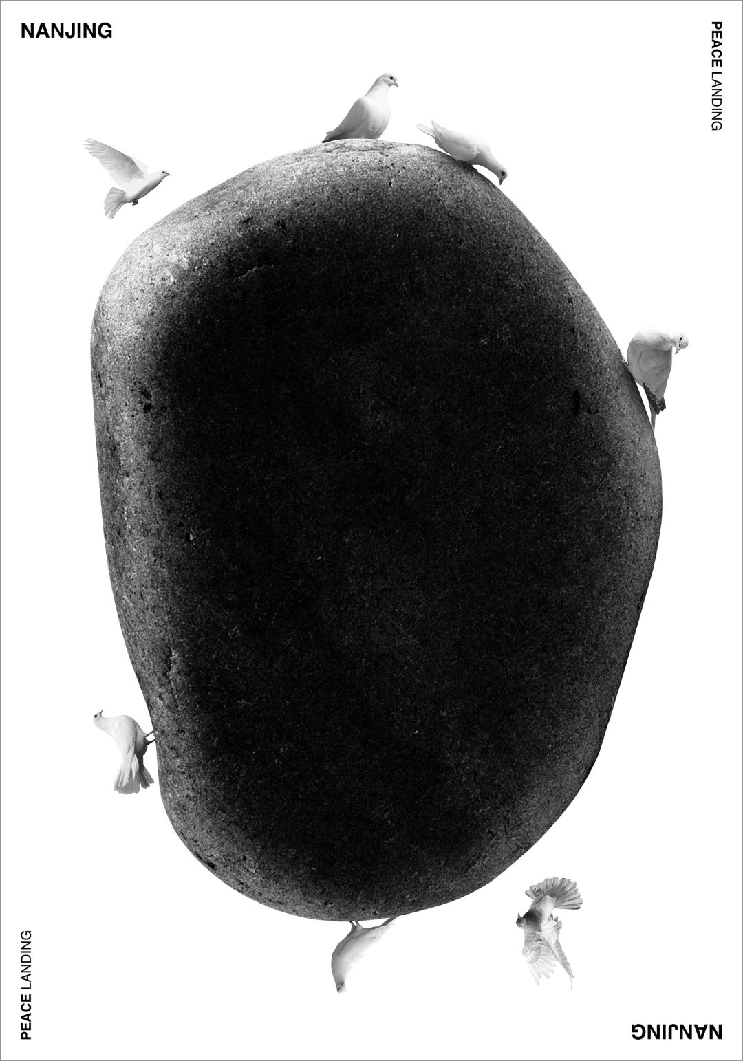 1576553245194686.gif 19.gif