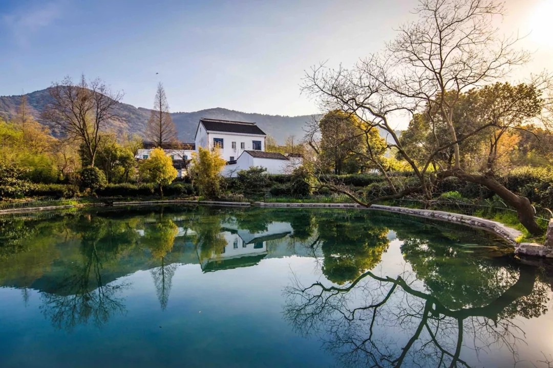 1577674767758991.jpg 也许,从现代化发展和城镇化进程的维度来看.webp.jpg