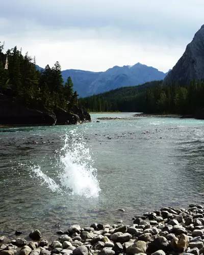 1578537546688382.jpeg 10.jpeg