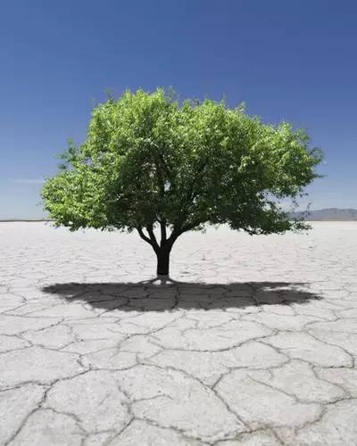 1578537573282806.jpeg 13.jpeg