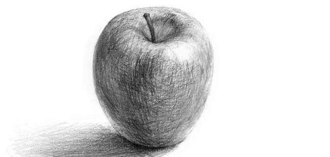 1587628304203006.png 1、单个静物.png