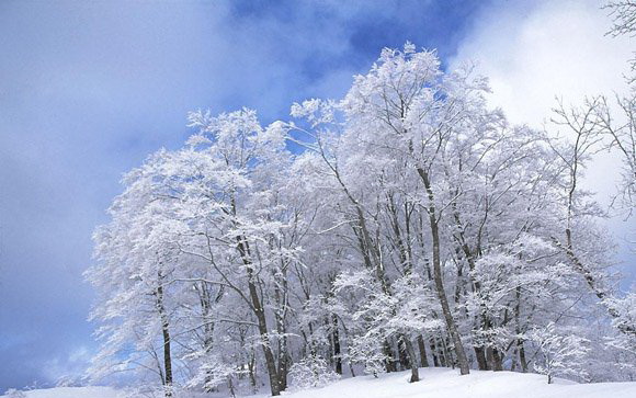 1596613671838805.jpg 929581.jpg