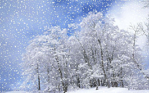 1596613716173110.jpg 929586.jpg