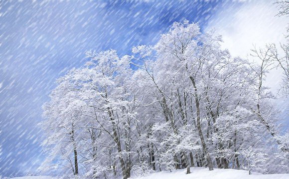 1596613737324151.jpg 929580.jpg