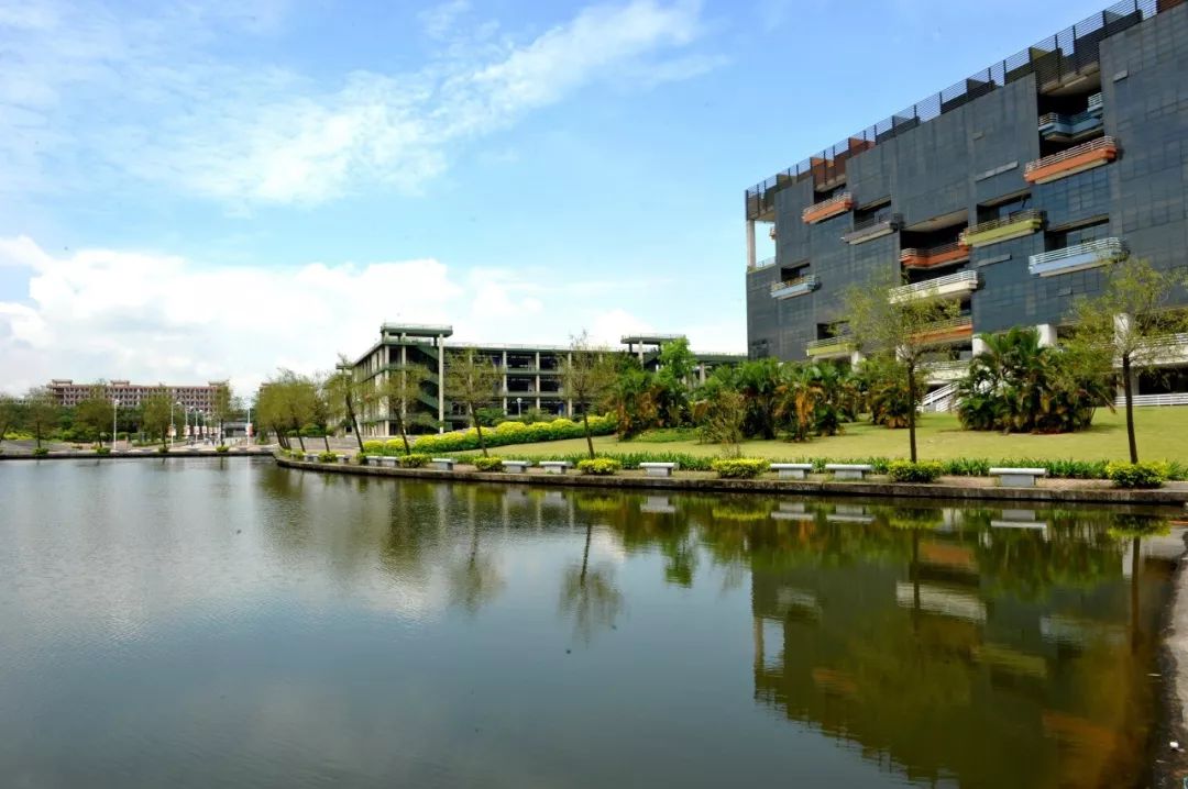 1604298998525523.jpeg 1.jpeg