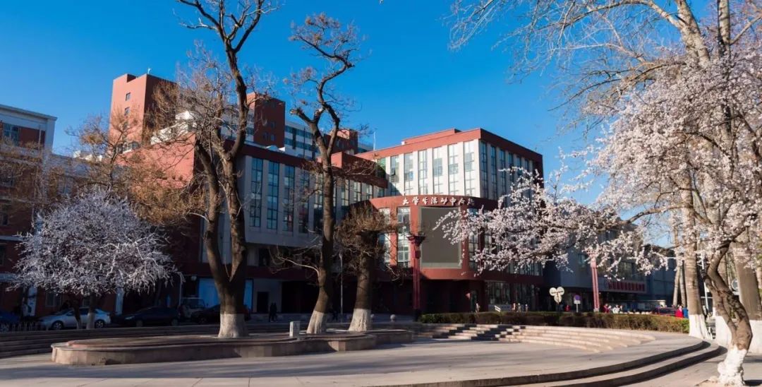 1605495074894687.jpeg 3.jpeg