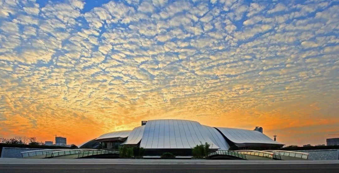 1605495639120055.jpeg 11.jpeg