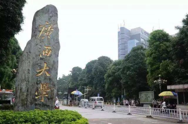 1606098981678869.jpeg 2.jpeg