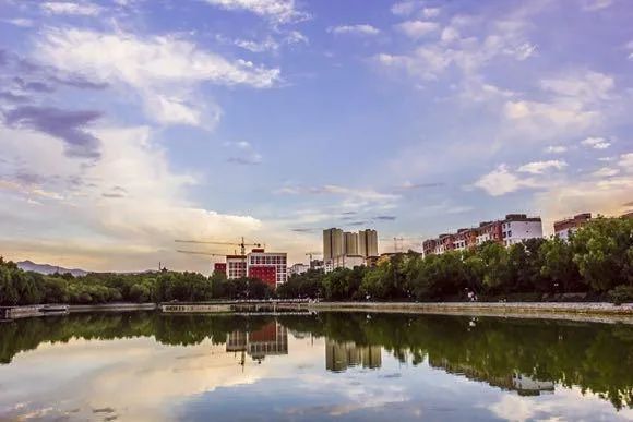 1606098991821433.jpeg 3.jpeg