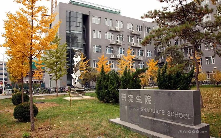 1622874839447294.jpeg 1.jpeg