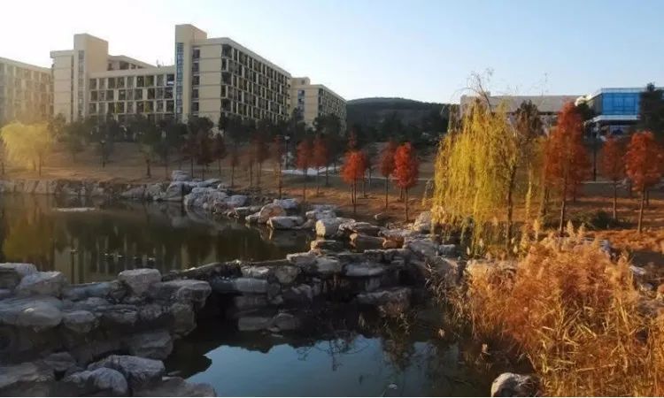 1630139375452129.jpeg 4.jpeg