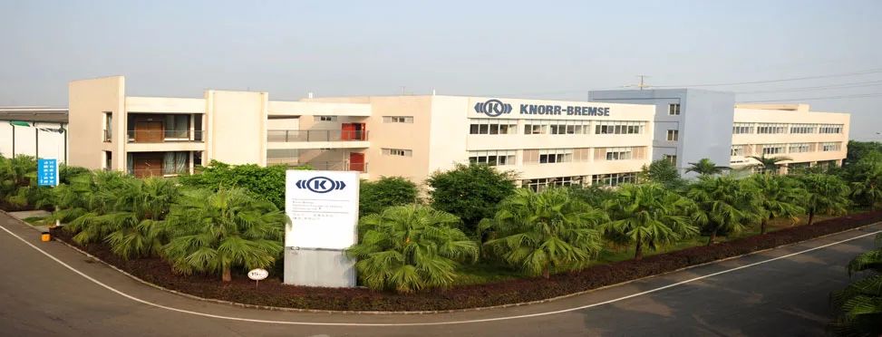 1639207423263847.jpeg 2.jpeg