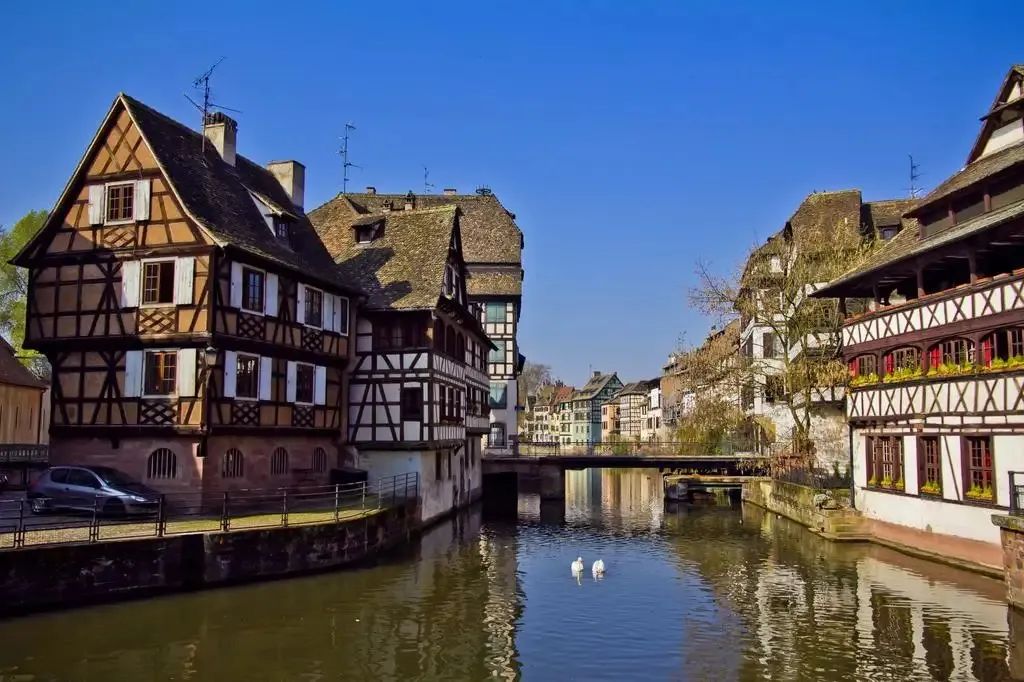 1657957800244086.jpeg 37.jpeg