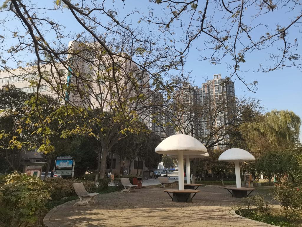 1763193128837192.jpg ED1DE51D62C6DD14AB1F7105E2B_8C2C80E1_32F7A.jpg