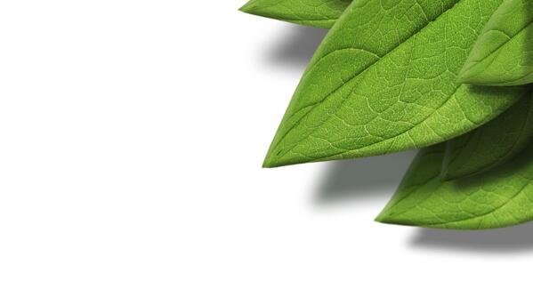 AI基础教程，教你如何用AI创建一个立体叶片