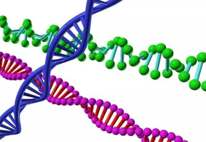 3dsmax基础教程，DNA双螺旋的建模渲染方法