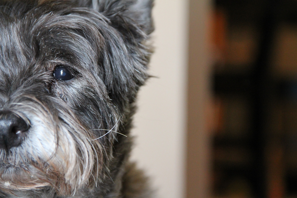 网页设计中的数学理论有哪些