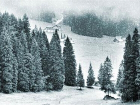 Photoshop学习教程，将草原变雪景的神奇效果