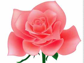 超简单Illustrator绘图实例教程，教你ai渐变网格工具绘玫瑰花