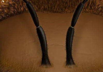 两大组别，靳埭强设计奖2020 全面启动征稿