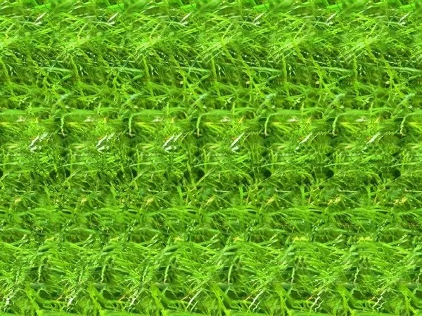 三维立体图片欣赏,盘点网络流传的3d立体图片合集-品索教育资讯