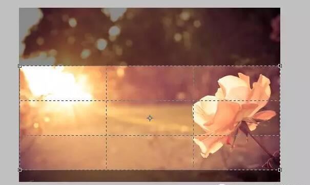 1516075227665089.jpg 第一步:打开PS,置入图片2.jpg